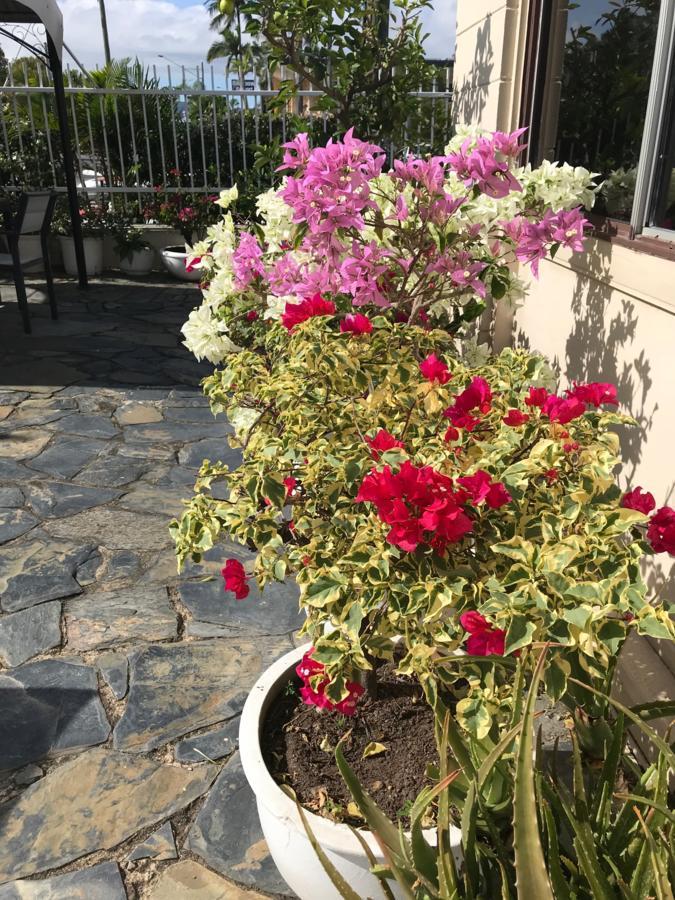 Cairns Motor Inn מראה חיצוני תמונה